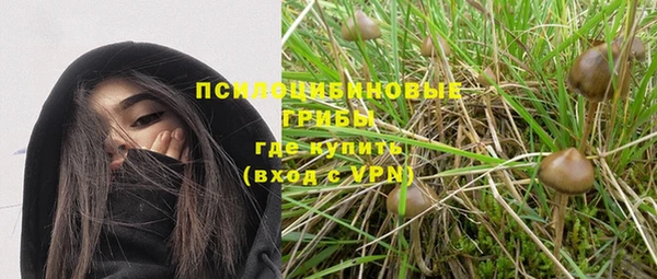 марихуана Баксан