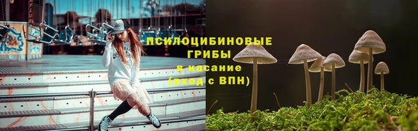 apvp Балахна