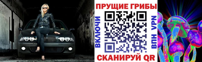 Псилоцибиновые грибы ЛСД  гидра ONION  Безенчук 